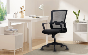 why ergonomic office chair is good for back pain relief