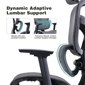 VOFFOV® Executive Office Chair with Dynamic Lumbar Support
