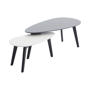 Nesting Coffee Table Set 2PCS