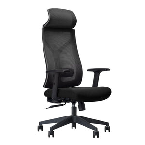 Ergonomic Mesh Executive Chair