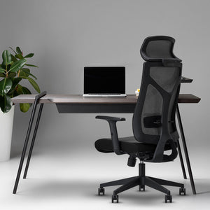 Ergonomic Mesh Executive Chair