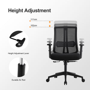 Ergonomic Mesh Task Chair