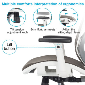 Ergonomic Chair Office, Gray Office Chair with Back Support, Desk Chair for Home Office Computer Chair