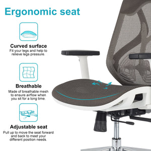 Ergonomic Chair Office, Gray Office Chair with Back Support, Desk Chair for Home Office Computer Chair